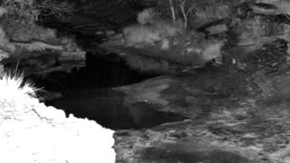 Still 1 from this detection
