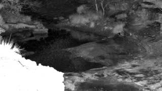 Still 1 from this detection