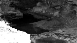 Still 1 from this detection