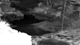 Still 1 from this detection