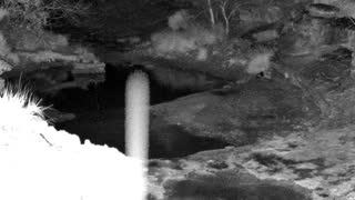 Still 1 from this detection