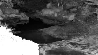 Still 1 from this detection
