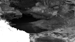 Still 1 from this detection