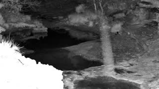 Still 1 from this detection