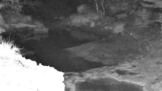 Still 1 from this detection
