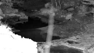 Still 1 from this detection