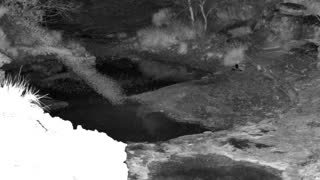 Still 1 from this detection