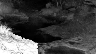 Still 1 from this detection