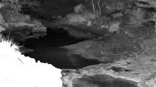 Still 1 from this detection