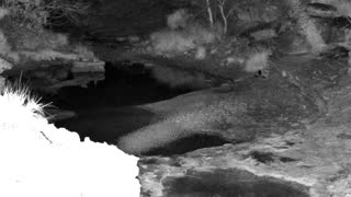 Still 1 from this detection