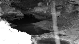 Still 1 from this detection