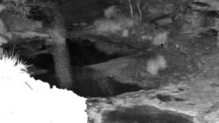 Still 1 from this detection