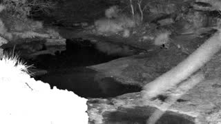 Still 1 from this detection
