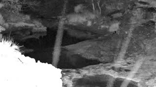 Still 1 from this detection
