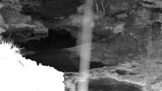 Still 1 from this detection