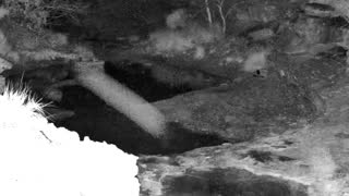 Still 1 from this detection