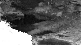 Still 1 from this detection