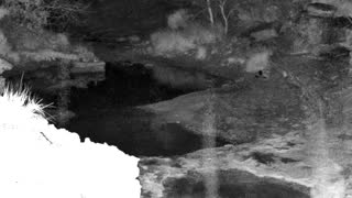 Still 1 from this detection