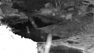 Still 1 from this detection