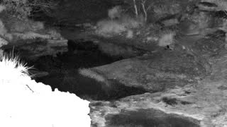 Still 1 from this detection