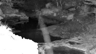 Still 1 from this detection