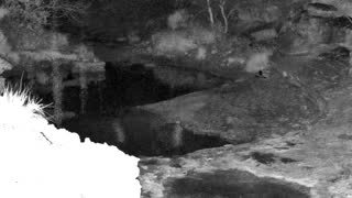 Still 1 from this detection