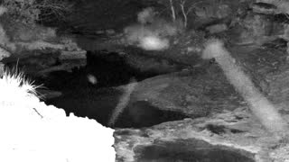 Still 1 from this detection