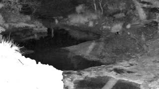 Still 1 from this detection