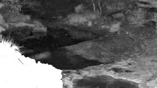 Still 1 from this detection