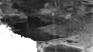 Still 1 from this detection