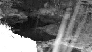 Still 1 from this detection