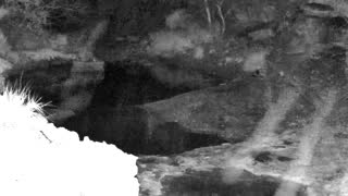 Still 1 from this detection