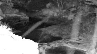 Still 1 from this detection