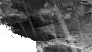 Still 1 from this detection