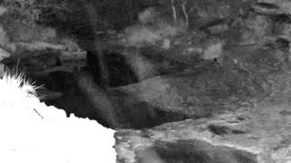 Still 1 from this detection