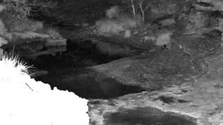 Still 1 from this detection