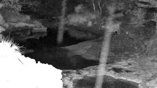 Still 1 from this detection