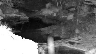 Still 1 from this detection