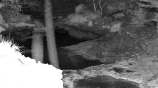 Still 1 from this detection