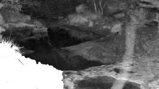 Still 1 from this detection