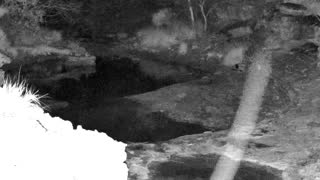 Still 1 from this detection