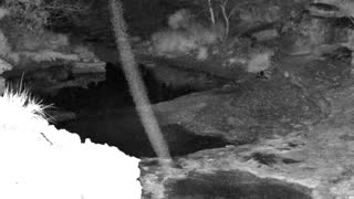 Still 1 from this detection