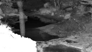 Still 1 from this detection