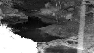 Still 1 from this detection