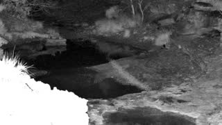 Still 1 from this detection