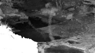Still 1 from this detection