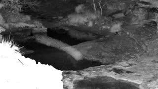 Still 1 from this detection
