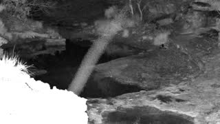 Still 1 from this detection