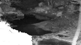Still 1 from this detection