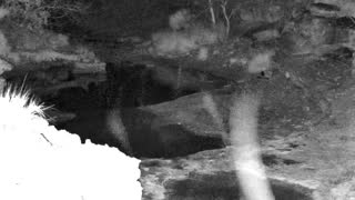 Still 1 from this detection
